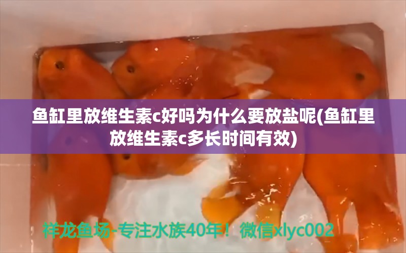 鱼缸里放维生素c好吗为什么要放盐呢(鱼缸里放维生素c多长时间有效)