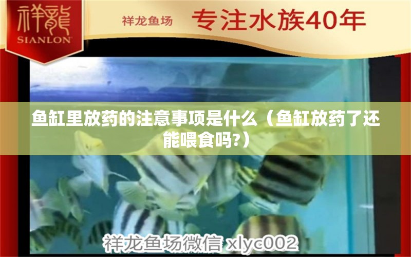 鱼缸里放药的注意事项是什么（鱼缸放药了还能喂食吗?） 观赏鱼批发