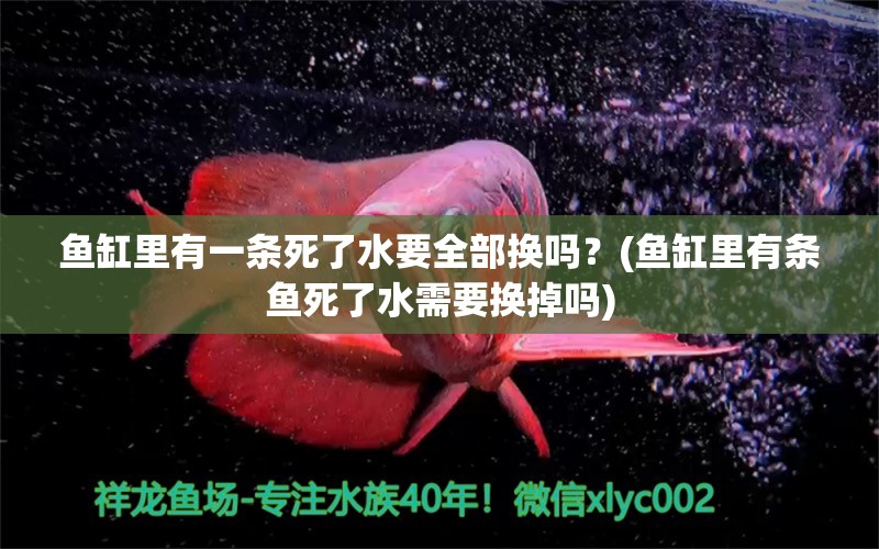 鱼缸里有一条死了水要全部换吗？(鱼缸里有条鱼死了水需要换掉吗) PH调节剂