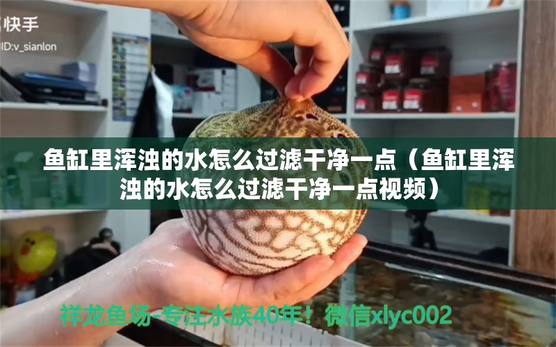 鱼缸里浑浊的水怎么过滤干净一点（鱼缸里浑浊的水怎么过滤干净一点视频）