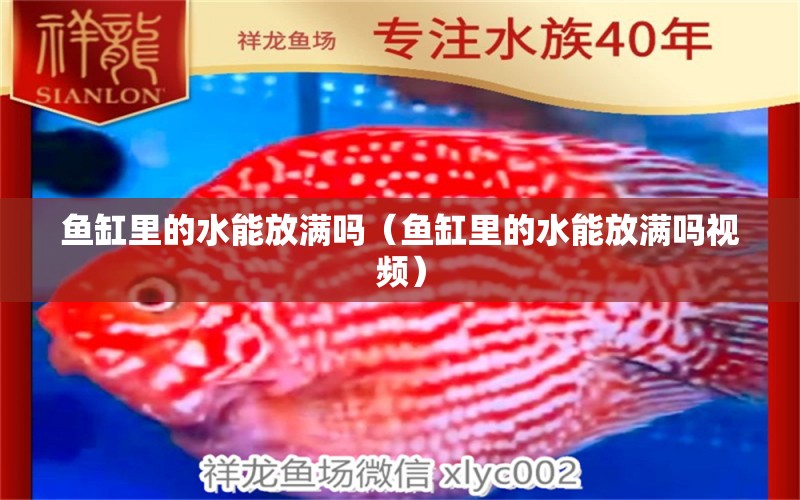 鱼缸里的水能放满吗（鱼缸里的水能放满吗视频） 祥龙水族医院