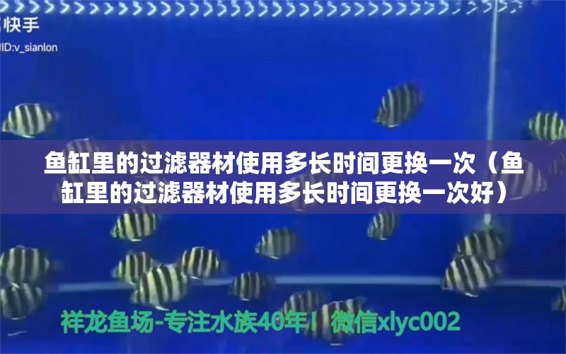 鱼缸里的过滤器材使用多长时间更换一次（鱼缸里的过滤器材使用多长时间更换一次好）