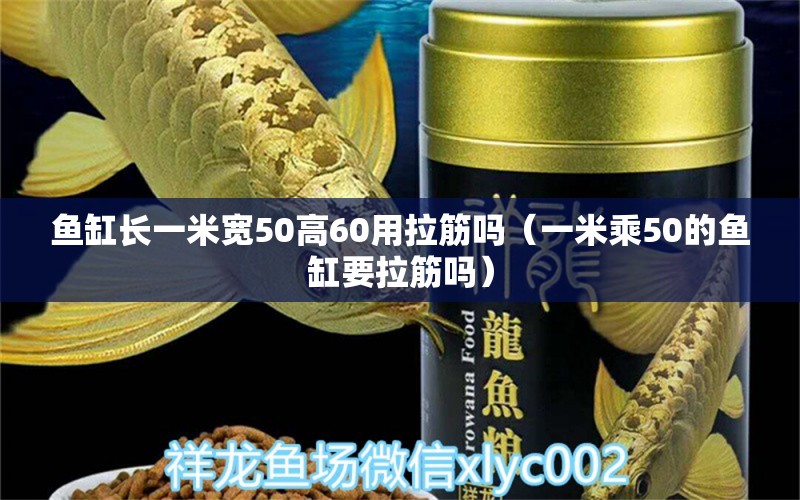 鱼缸长一米宽50高60用拉筋吗（一米乘50的鱼缸要拉筋吗）