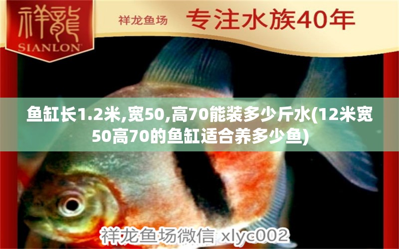 鱼缸长1.2米,宽50,高70能装多少斤水(12米宽50高70的鱼缸适合养多少鱼)