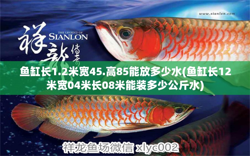 鱼缸长1.2米宽45.高85能放多少水(鱼缸长12米宽04米长08米能装多少公斤水)