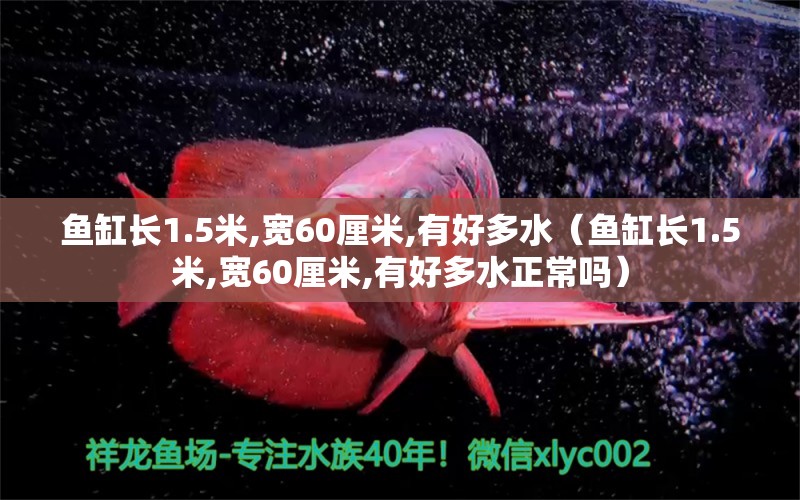 鱼缸长1.5米,宽60厘米,有好多水（鱼缸长1.5米,宽60厘米,有好多水正常吗） 祥龙水族医院