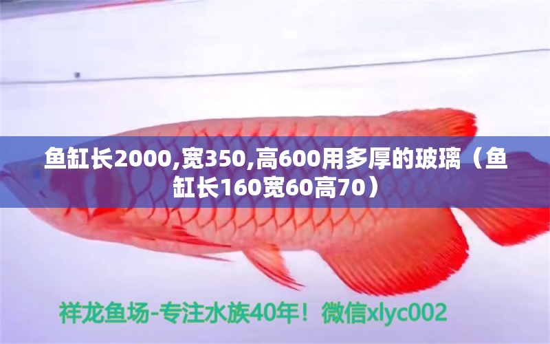 鱼缸长2000,宽350,高600用多厚的玻璃（鱼缸长160宽60高70）