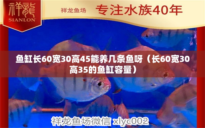 鱼缸长60宽30高45能养几条鱼呀（长60宽30高35的鱼缸容量） 蓝帆三间鱼