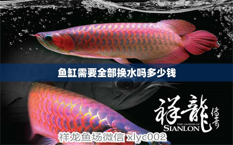 鱼缸需要全部换水吗多少钱 水族问答 第2张