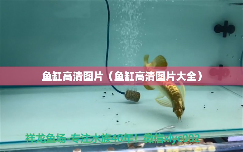 鱼缸高清图片（鱼缸高清图片大全） 水族世界