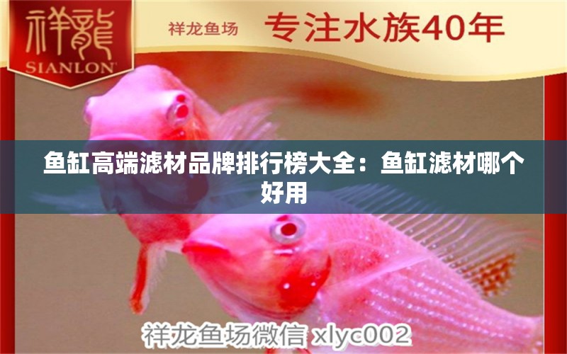 鱼缸高端滤材品牌排行榜大全：鱼缸滤材哪个好用 广州水族批发市场 第2张