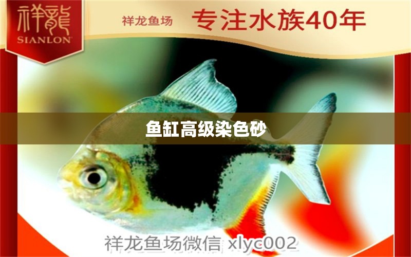 鱼缸高级染色砂 广州水族器材滤材批发市场