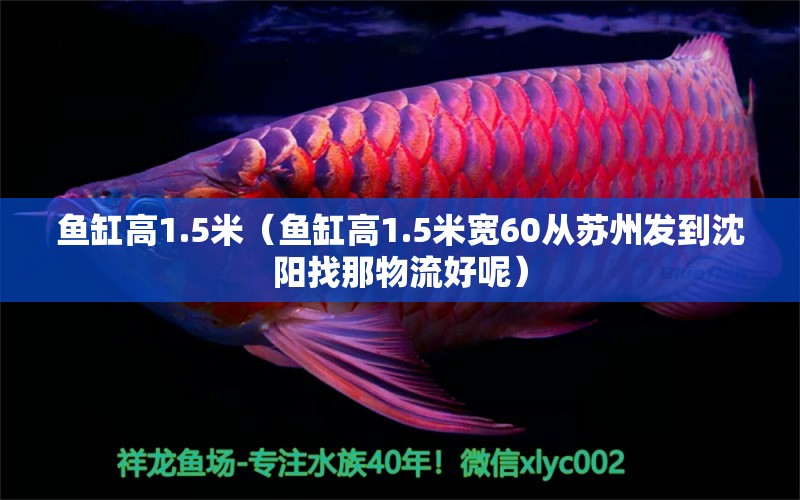 鱼缸高1.5米（鱼缸高1.5米宽60从苏州发到沈阳找那物流好呢）