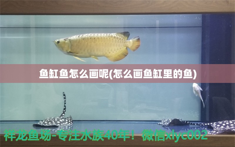 鱼缸鱼怎么画呢(怎么画鱼缸里的鱼) 白玉红龙鱼