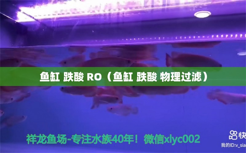 鱼缸 跌酸 RO（鱼缸 跌酸 物理过滤） 观赏鱼市场（混养鱼）