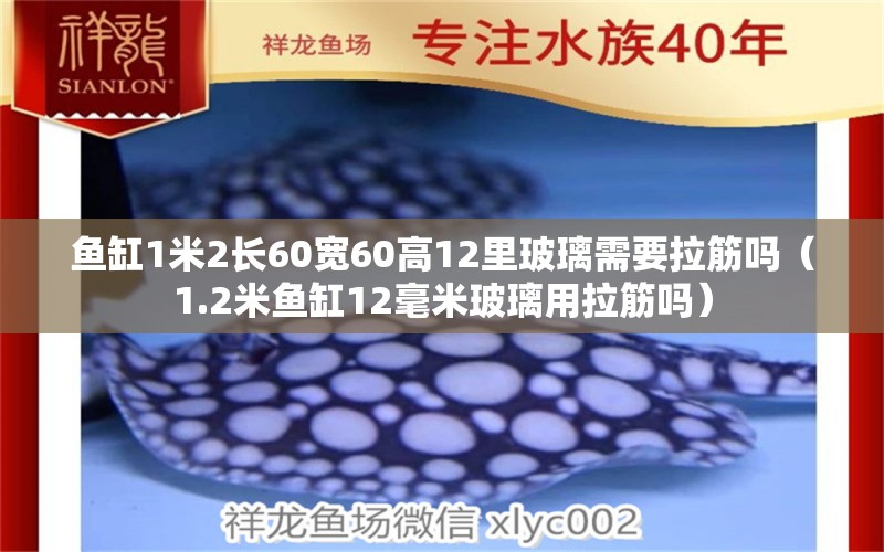 鱼缸1米2长60宽60高12里玻璃需要拉筋吗（1.2米鱼缸12毫米玻璃用拉筋吗）