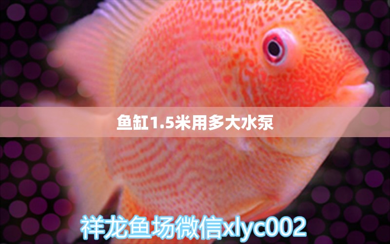 鱼缸1.5米用多大水泵