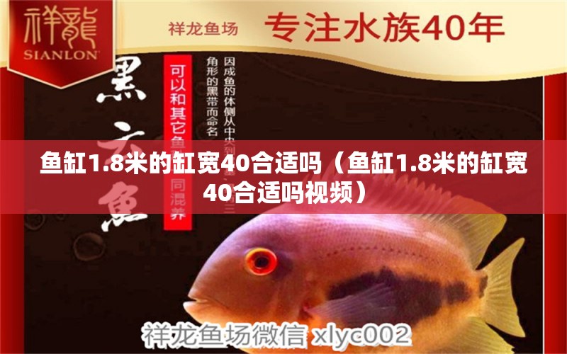 鱼缸1.8米的缸宽40合适吗（鱼缸1.8米的缸宽40合适吗视频）