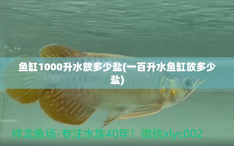 鱼缸1000升水放多少盐(一百升水鱼缸放多少盐) 白子黑帝王魟鱼