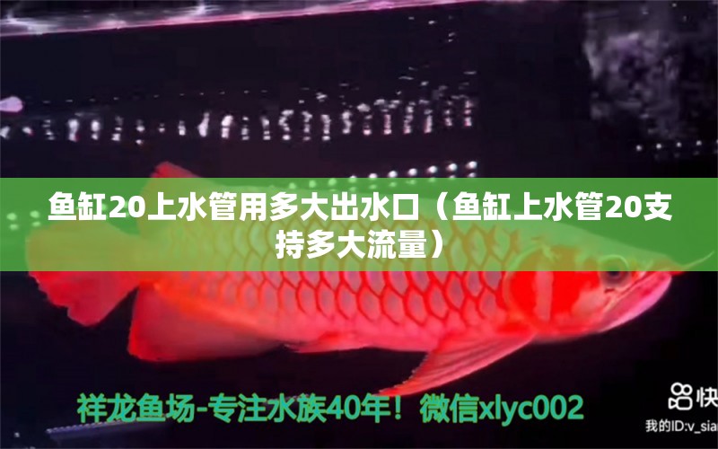 鱼缸20上水管用多大出水口（鱼缸上水管20支持多大流量）