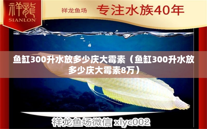 鱼缸300升水放多少庆大霉素（鱼缸300升水放多少庆大霉素8万） 观赏鱼市场（混养鱼）