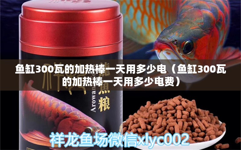 鱼缸300瓦的加热棒一天用多少电（鱼缸300瓦的加热棒一天用多少电费） 鱼缸百科