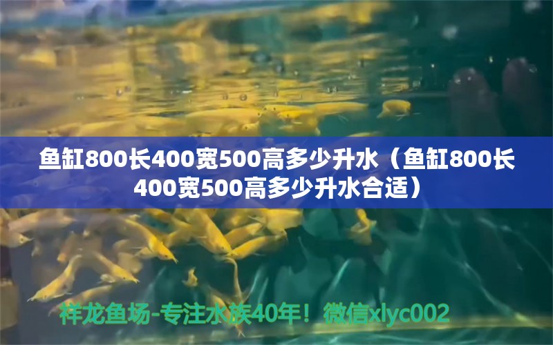 鱼缸800长400宽500高多少升水（鱼缸800长400宽500高多少升水合适）
