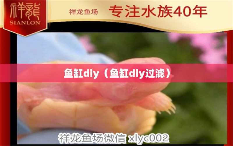 鱼缸diy（鱼缸diy过滤） 硝化细菌