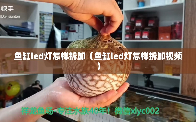 鱼缸led灯怎样拆卸（鱼缸led灯怎样拆卸视频）