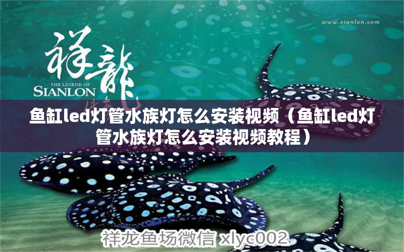 鱼缸led灯管水族灯怎么安装视频（鱼缸led灯管水族灯怎么安装视频教程） 观赏虾蟹等饲料