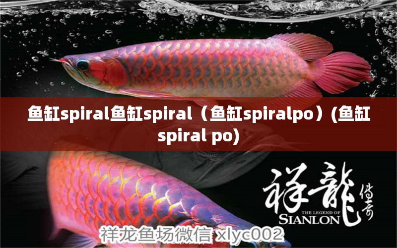 鱼缸spiral鱼缸spiral（鱼缸spiralpo）(鱼缸spiral po)