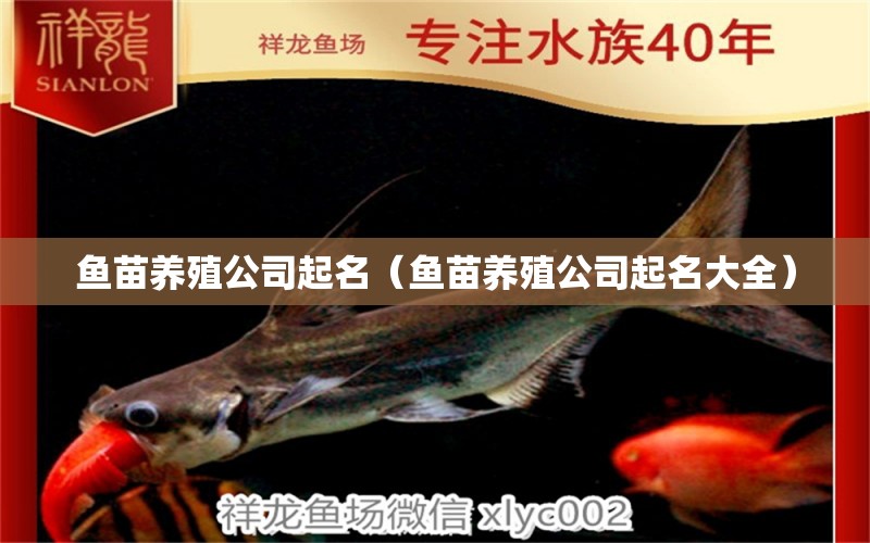 鱼苗养殖公司起名（鱼苗养殖公司起名大全） 祥龙水族医院