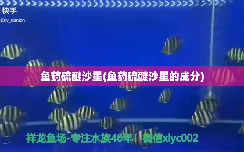 鱼药硫醚沙星(鱼药硫醚沙星的成分) 锦鲤池鱼池建设