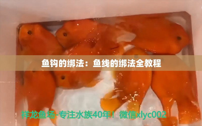 鱼钩的绑法：鱼线的绑法全教程 垂钓乐园