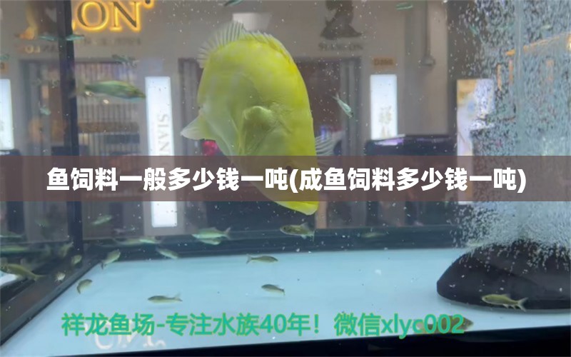 鱼饲料一般多少钱一吨(成鱼饲料多少钱一吨) 哥伦比亚巨暴鱼苗