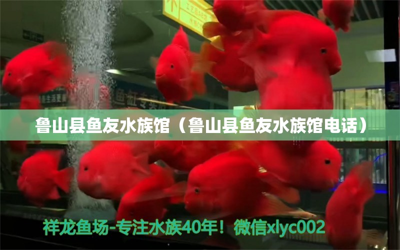 鲁山县鱼友水族馆（鲁山县鱼友水族馆电话） 全国水族馆企业名录