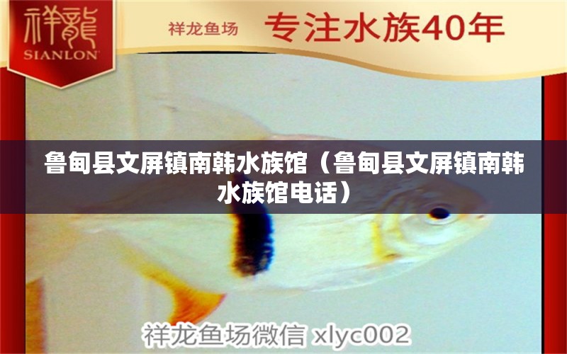 鲁甸县文屏镇南韩水族馆（鲁甸县文屏镇南韩水族馆电话） 全国水族馆企业名录