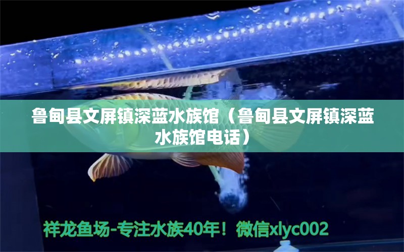 鲁甸县文屏镇深蓝水族馆（鲁甸县文屏镇深蓝水族馆电话）