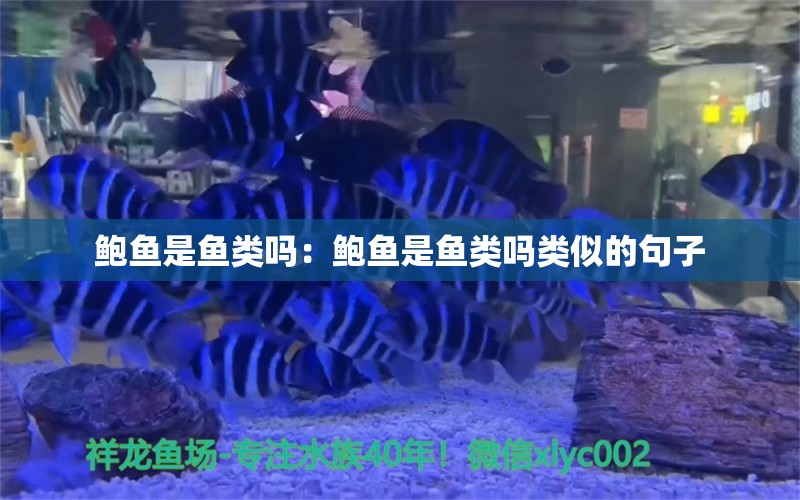 鲍鱼是鱼类吗：鲍鱼是鱼类吗类似的句子