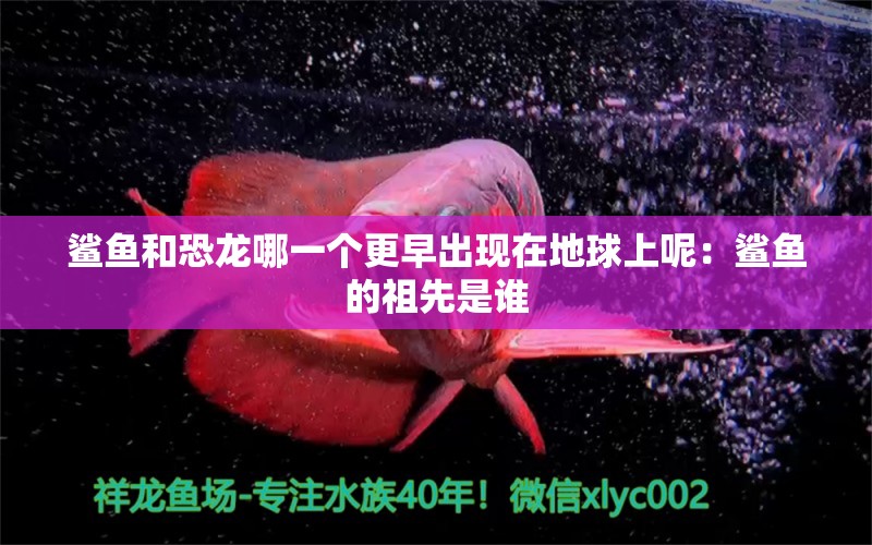 鲨鱼和恐龙哪一个更早出现在地球上呢：鲨鱼的祖先是谁