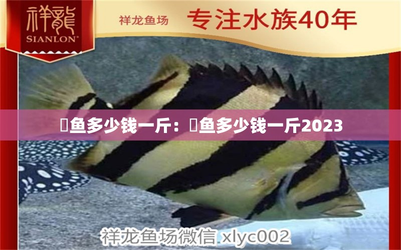 鳡鱼多少钱一斤：鳡鱼多少钱一斤2023 BD魟鱼