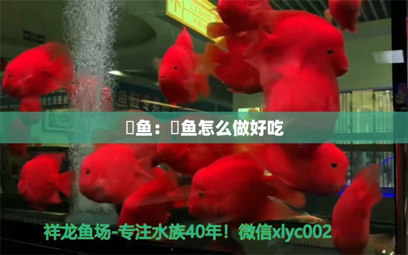 鳡鱼：鳡鱼怎么做好吃 观赏鱼