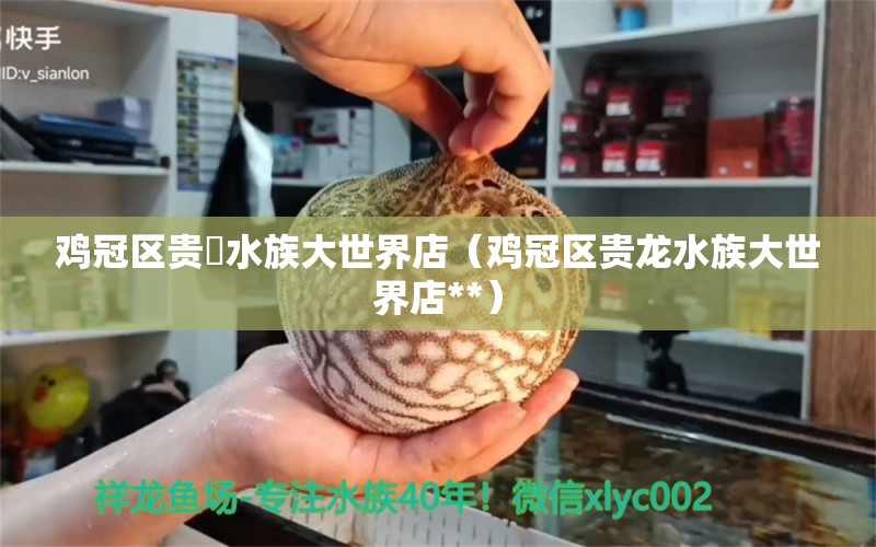 鸡冠区贵龍水族大世界店（鸡冠区贵龙水族大世界店**）