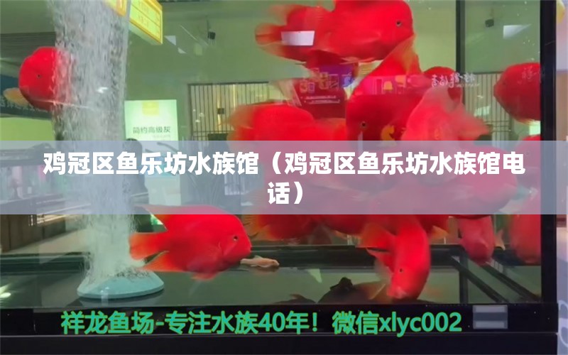 鸡冠区鱼乐坊水族馆（鸡冠区鱼乐坊水族馆电话）