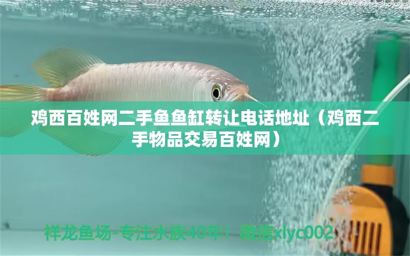 鸡西百姓网二手鱼鱼缸转让电话地址（鸡西二手物品交易百姓网） 广州观赏鱼批发市场