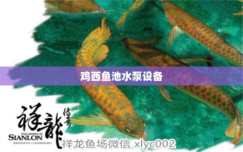 鸡西鱼池水泵设备 广州水族器材滤材批发市场