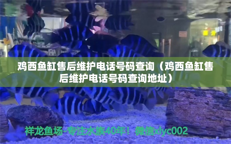 鸡西鱼缸售后维护电话号码查询（鸡西鱼缸售后维护电话号码查询地址）