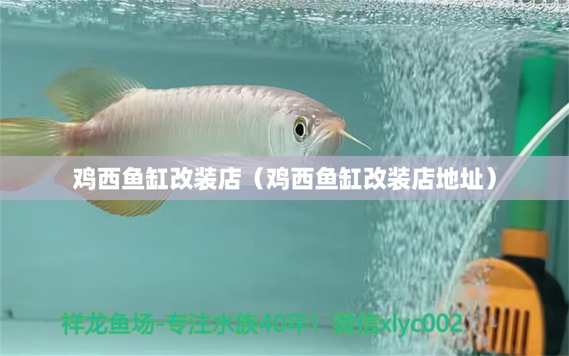 鸡西鱼缸改装店（鸡西鱼缸改装店地址） 祥龙水族医院