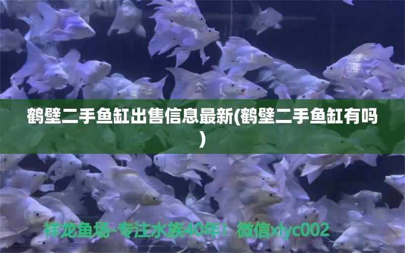 鹤壁二手鱼缸出售信息最新(鹤壁二手鱼缸有吗)