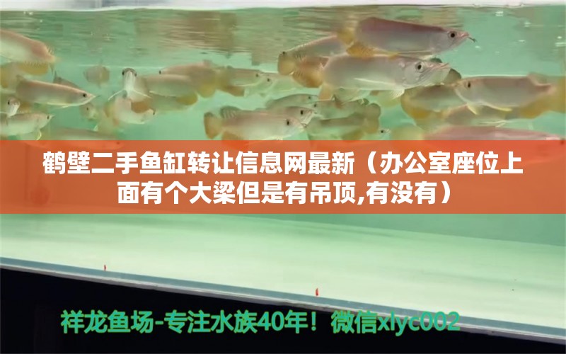 鹤壁二手鱼缸转让信息网最新（办公室座位上面有个大梁但是有吊顶,有没有） 鱼缸百科 第2张